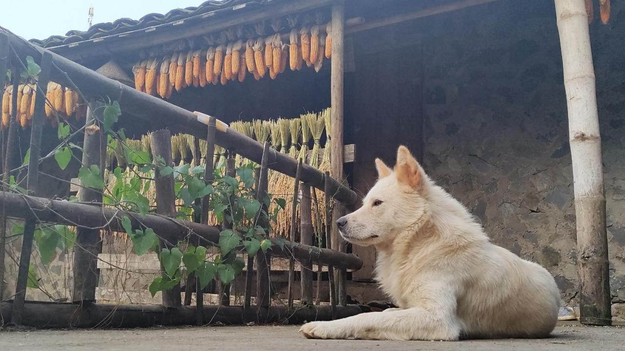 Hoang Cong Ban Gioc Homestay Cao Bang Eksteriør billede